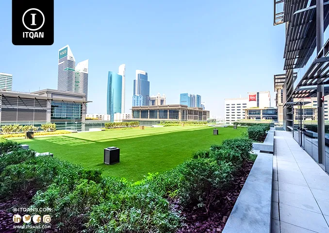 Leading IT Companies Driving Dubai’s Tech Growth